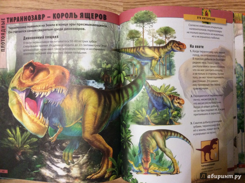 Иллюстрация 8 из 15 для Динозавры - Барбара Маевская | Лабиринт - книги. Источник: Семенова  Анна
