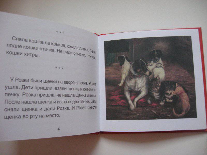 Иллюстрация 5 из 6 для Удивительная кошка - Галина Шалаева | Лабиринт - книги. Источник: Нютка