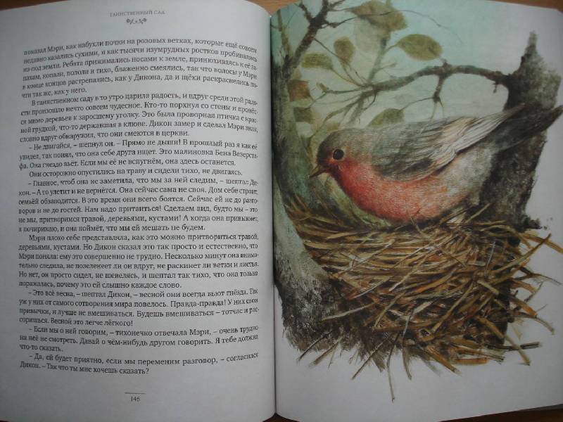 Иллюстрация 39 из 56 для Таинственный сад - Фрэнсис Бёрнетт | Лабиринт - книги. Источник: Сорокина  Лариса
