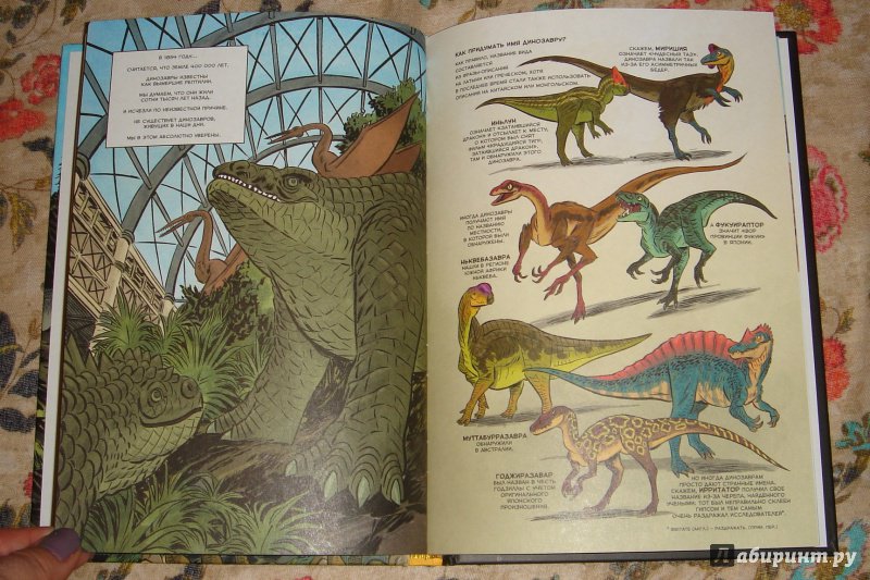 Иллюстрация 8 из 71 для Динозавры. Научный комикс - Эм-Кей, Флуд | Лабиринт - книги. Источник: Кузнецова  Марина