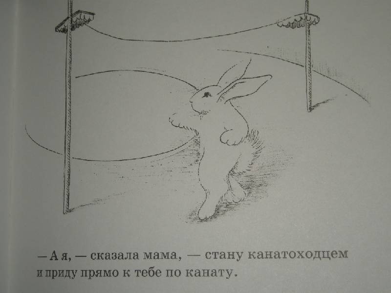Иллюстрация 45 из 46 для Как зайчонок убегал - Уайз Браун | Лабиринт - книги. Источник: Мартынова  Анна Владимировна