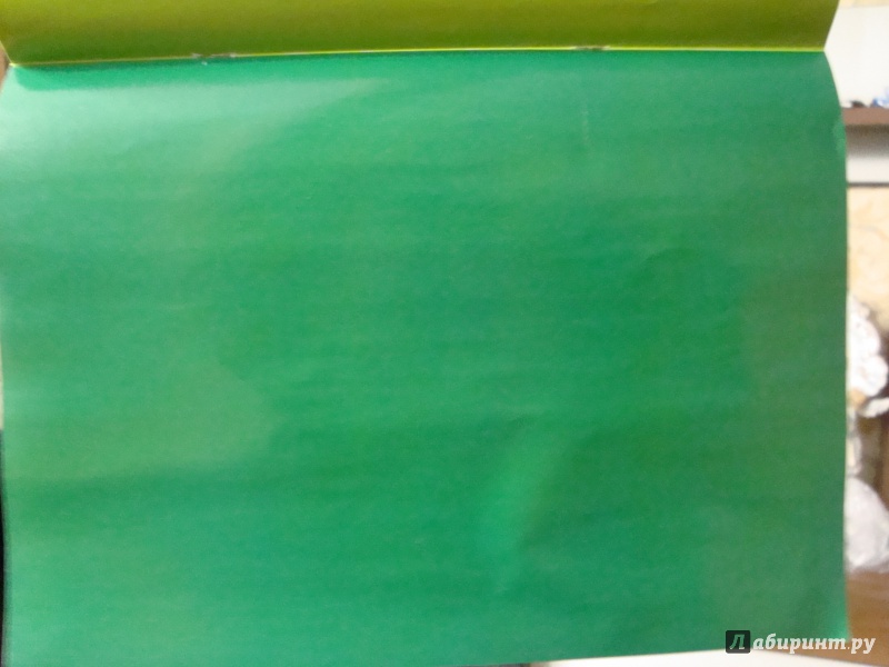 Иллюстрация 1 из 2 для Бумага цветная мелованная "Бельчонок" (24 листа, 24 цвета) (С1233-04) | Лабиринт - канцтовы. Источник: Комарова  Ольга