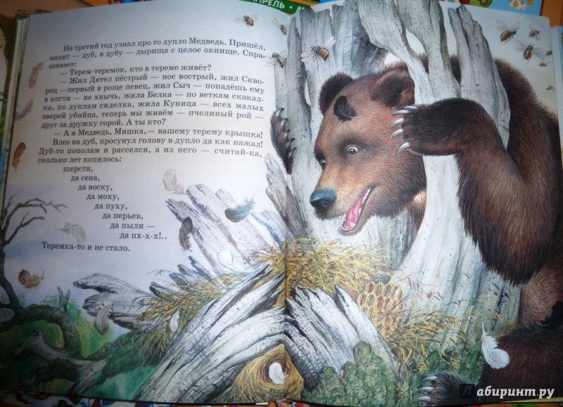 Иллюстрация 5 из 87 для Сказки о родной природе - Бианки, Сладков, Шим | Лабиринт - книги. Источник: настя тимарг