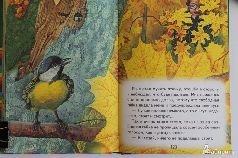 Иллюстрация 43 из 44 для Про птиц и зверей - Михаил Пришвин | Лабиринт - книги. Источник: Elena