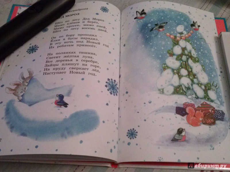 Иллюстрация 10 из 25 для Маленькой ёлочке холодно зимой - Степанов, Александрова, Кушак | Лабиринт - книги. Источник: Анна
