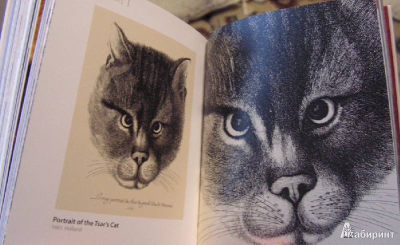 Иллюстрация 5 из 8 для The Hermitage. Cats | Лабиринт - книги. Источник: Solen