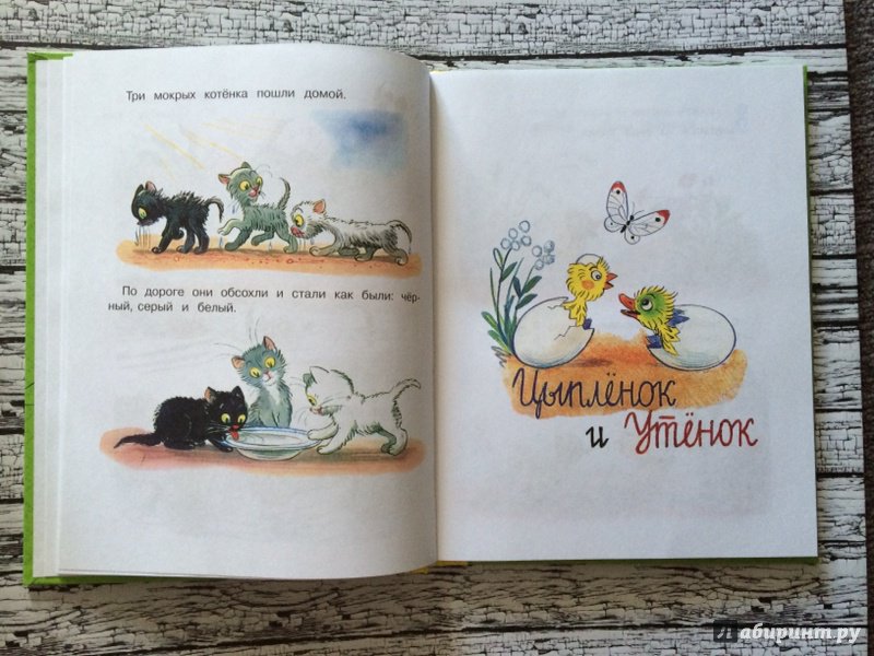 Иллюстрация 40 из 62 для Сказки и картинки - Владимир Сутеев | Лабиринт - книги. Источник: Лабиринт