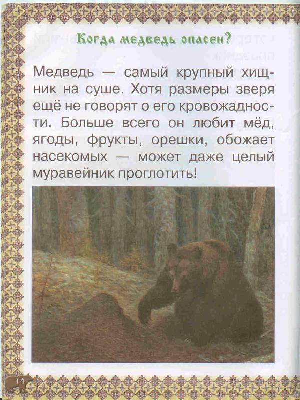 Иллюстрация 7 из 41 для Косолапые истории. Все о медведях - Екатерина Малинина | Лабиринт - книги. Источник: Тярионнакуби