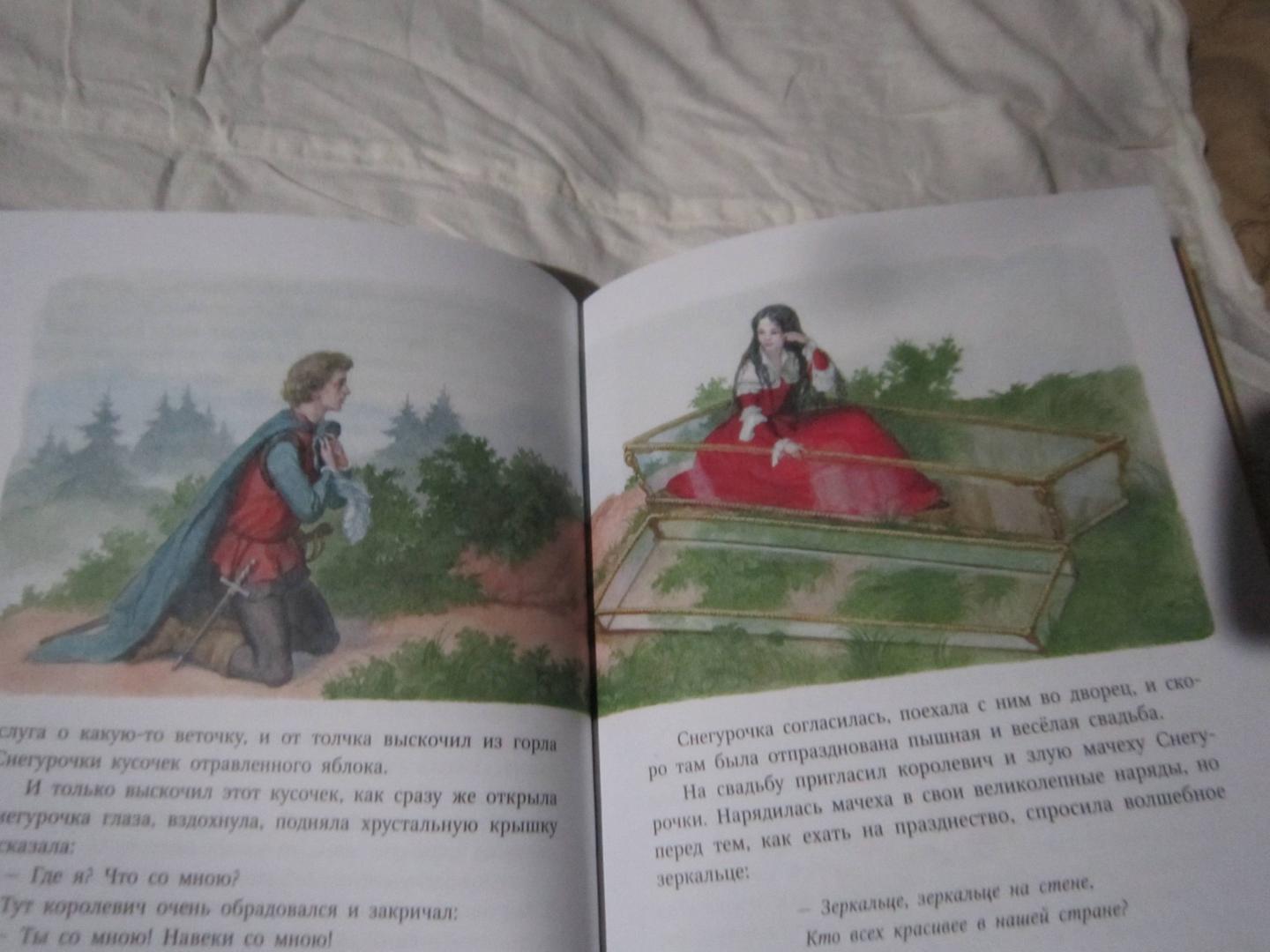 Иллюстрация 6 из 37 для Сказки - Гримм Якоб и Вильгельм | Лабиринт - книги. Источник: Доронина  Елена Юрьевна