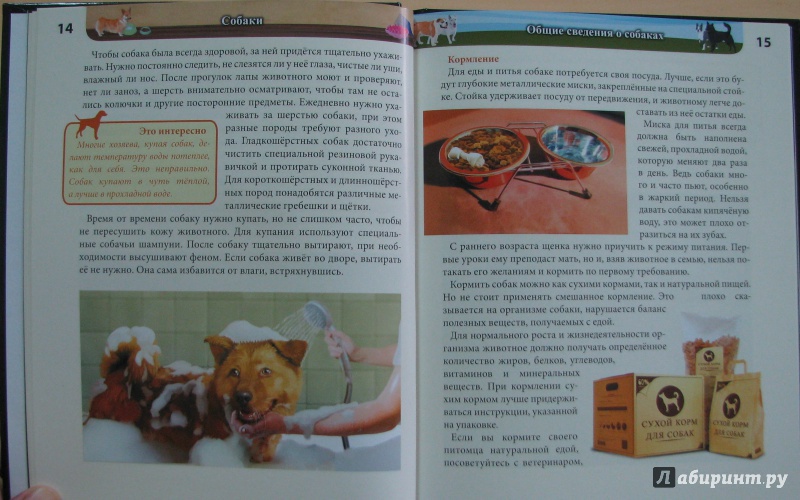 Иллюстрация 13 из 27 для Собаки - Леся Калугина | Лабиринт - книги. Источник: Штерн  Яна