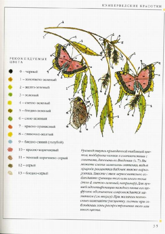 Иллюстрация 12 из 41 для Бабочки. Практическое руководство - Хелен Стивенс | Лабиринт - книги. Источник: Panterra