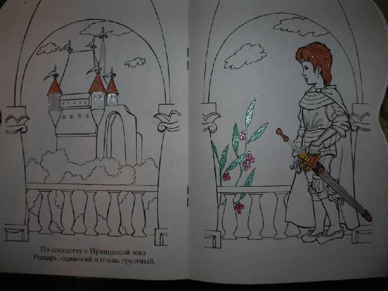 Иллюстрация 4 из 5 для Принцесса (вышивание). Раскраска | Лабиринт - книги. Источник: Tiger.