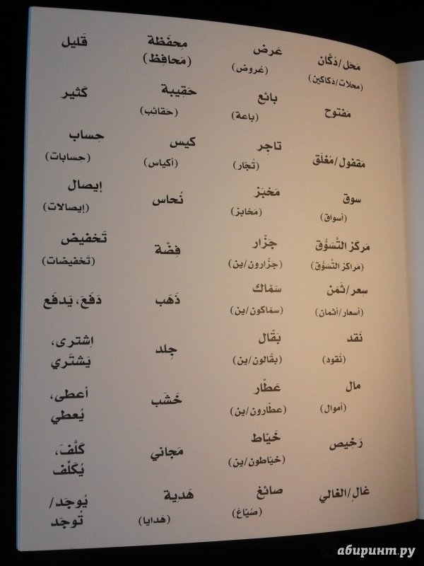 Иллюстрация 11 из 11 для Арабский разговорный язык - Харун Ширвани | Лабиринт - книги. Источник: Лабиринт
