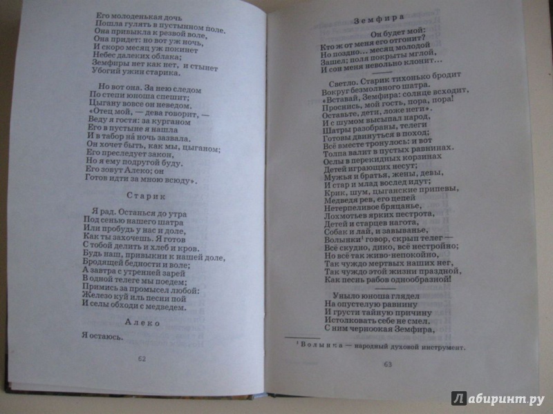 Иллюстрация 20 из 27 для Поэмы - Александр Пушкин | Лабиринт - книги. Источник: В.