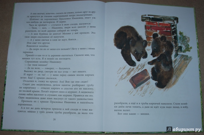 Иллюстрация 40 из 42 для Томкины сны - Евгений Чарушин | Лабиринт - книги. Источник: Книжный кот