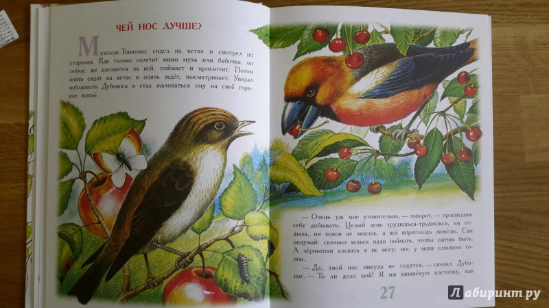 Иллюстрация 11 из 36 для Сказки для детей - Виталий Бианки | Лабиринт - книги. Источник: Елена