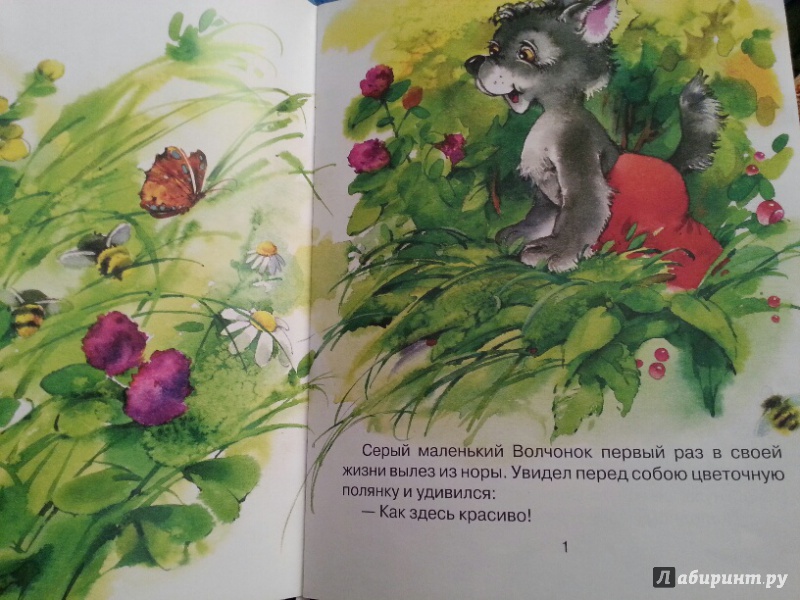 Иллюстрация 22 из 22 для Про маленького волчонка - Дмитрий Харченко | Лабиринт - книги. Источник: Ангелина