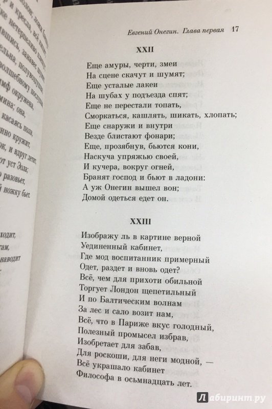 Иллюстрация 25 из 37 для Евгений Онегин - Александр Пушкин | Лабиринт - книги. Источник: Lina