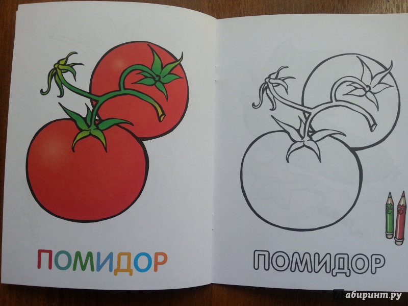 Иллюстрация 18 из 18 для Раскраска для малышей. Овощи | Лабиринт - книги. Источник: Баскова  Юлия Сергеевна