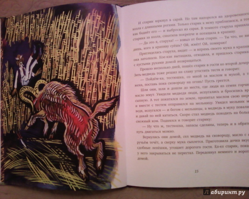 Иллюстрация 18 из 54 для Почему у птицы кальчунды клюв и лапки золотые | Лабиринт - книги. Источник: Родионова  Надежда