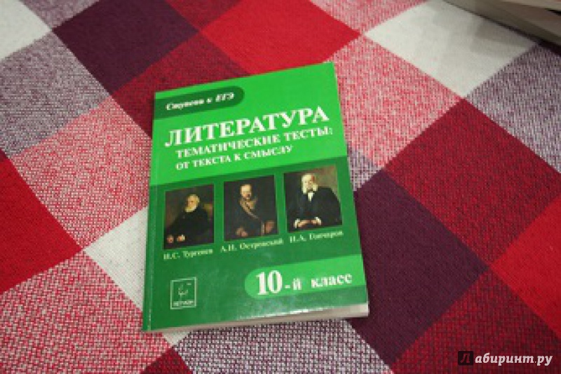 Иллюстрация 1 из 21 для Литература. Тематические тесты. От текста к смыслу. 10-й класс - Елена Секачева | Лабиринт - книги. Источник: Сыченкова  Елена