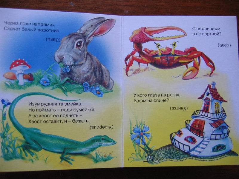 Иллюстрация 1 из 2 для Загадки, стишки для самых маленьких | Лабиринт - книги. Источник: Крошка Сью
