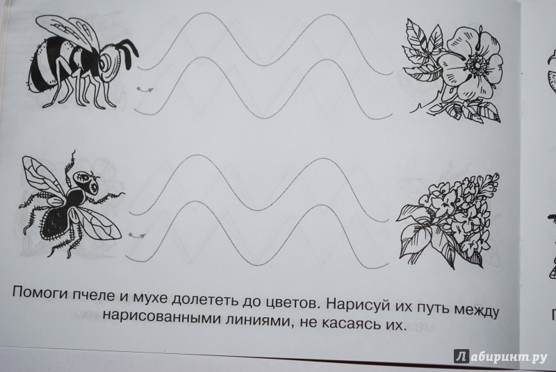 Иллюстрация 7 из 15 для Рисуем по линиям. Для детей 3-4 лет (оранжевая) - Елена Шабурова | Лабиринт - книги. Источник: Нади
