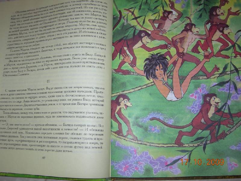 Иллюстрация 14 из 26 для Маугли - Редьярд Киплинг | Лабиринт - книги. Источник: Соловей
