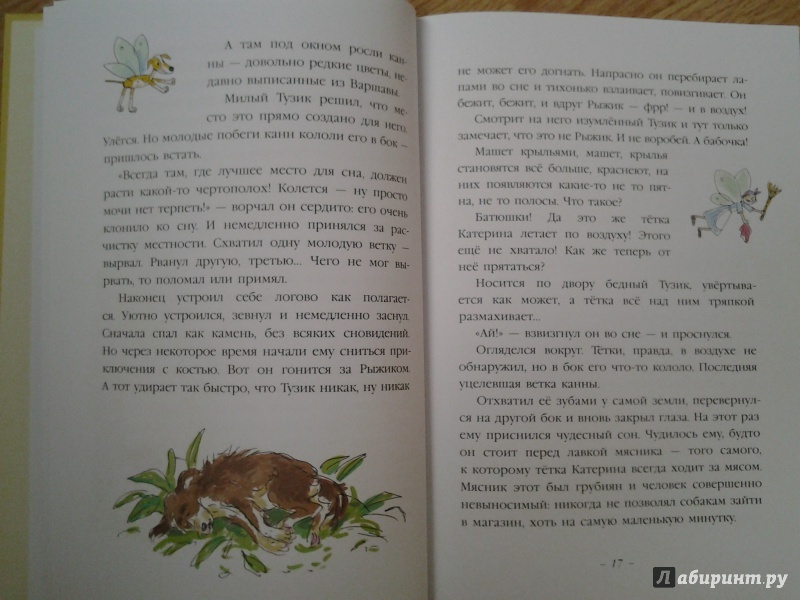 Иллюстрация 12 из 46 для Тузик, Рыжий и гости - Ян Грабовский | Лабиринт - книги. Источник: Olga