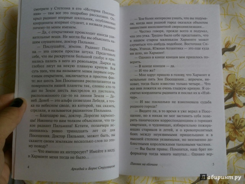 Иллюстрация 40 из 73 для Пикник на обочине - Стругацкий, Стругацкий | Лабиринт - книги. Источник: Лабиринт