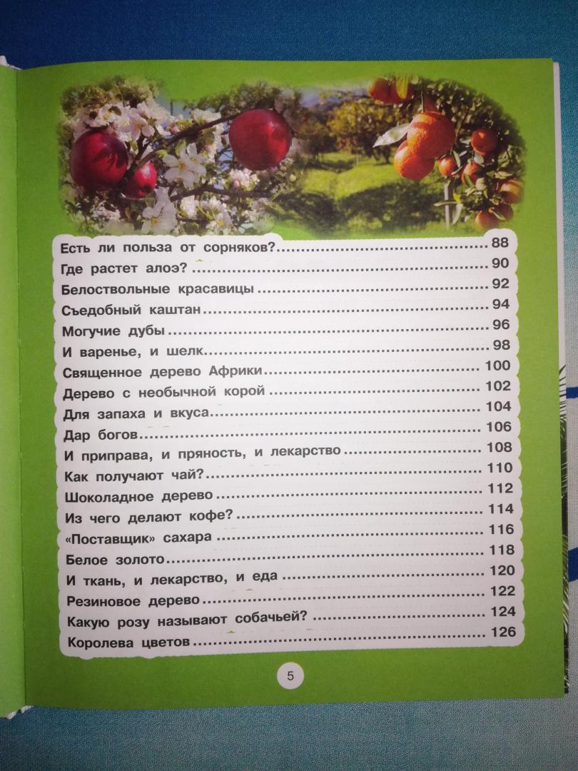Иллюстрация 28 из 32 для Растения - Анна Спектор | Лабиринт - книги. Источник: Каппес  Ангелина