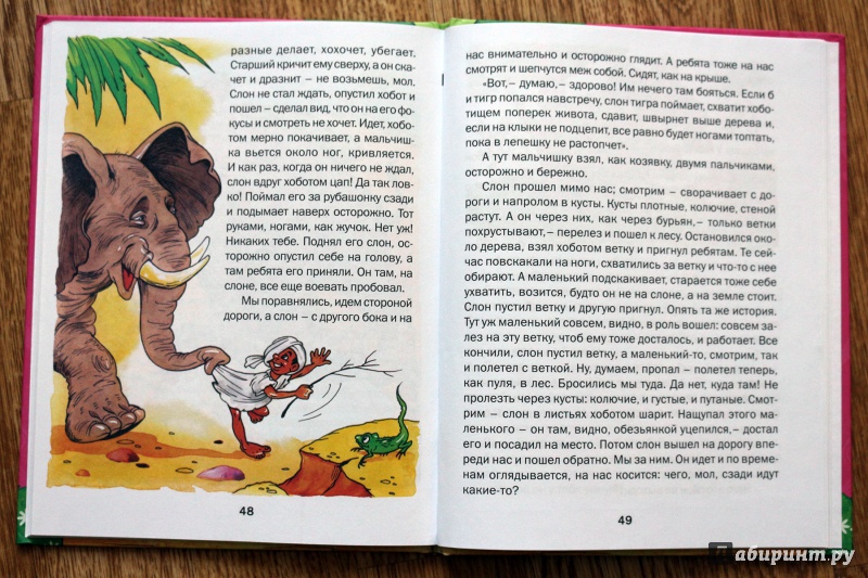 Иллюстрация 11 из 22 для Рассказы о животных - Борис Житков | Лабиринт - книги. Источник: Террил