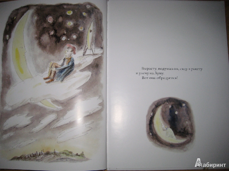 Иллюстрация 15 из 16 для Мальчик и луна - Леонид Тишков | Лабиринт - книги. Источник: Макарова  Елена
