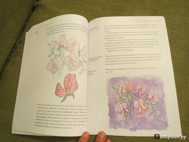 Иллюстрация 8 из 42 для Вышивка по органзе. Цветы - Гари Кларк | Лабиринт - книги. Источник: Кудрявцева  Наталья