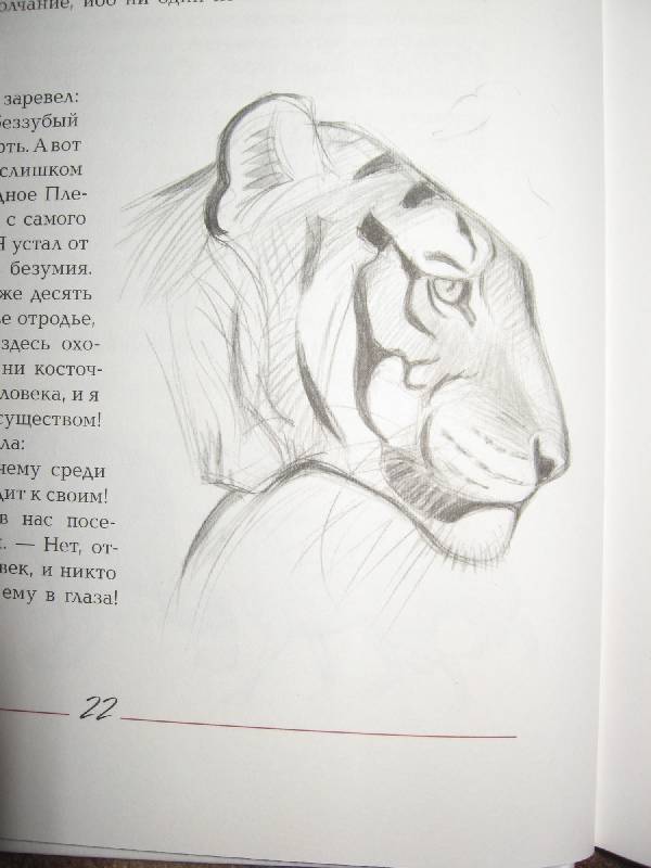Иллюстрация 13 из 30 для Маугли - Редьярд Киплинг | Лабиринт - книги. Источник: W