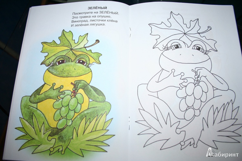 Иллюстрация 4 из 22 для Цветные странички - Наталья Томилина | Лабиринт - книги. Источник: Торос  Анна Ивановна