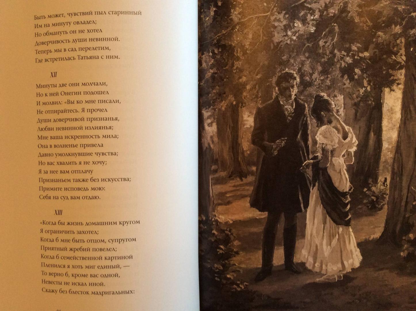 Иллюстрация 18 из 106 для Евгений Онегин - Александр Пушкин | Лабиринт - книги. Источник: Hellen