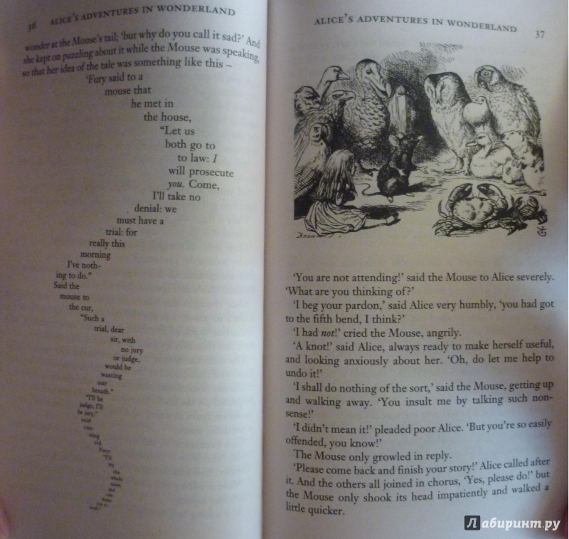 Иллюстрация 6 из 31 для Alice in Wonderland & Through the Looking-Glass - Lewis Carroll | Лабиринт - книги. Источник: Малежикова  Анастасия Вадимовна