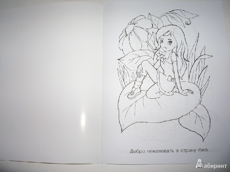 Иллюстрация 4 из 12 для Раскраска для девочек. Выпуск 3 | Лабиринт - книги. Источник: Tiger.