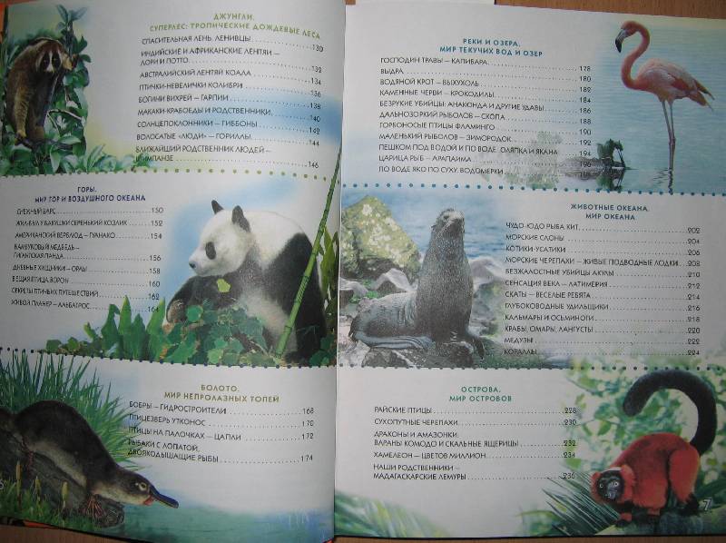 Иллюстрация 5 из 25 для Энциклопедия животного мира - Борис Сергеев | Лабиринт - книги. Источник: cocher