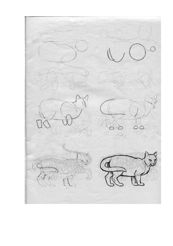 Иллюстрация 16 из 24 для Рисуем 50 животных - Ли Эймис | Лабиринт - книги. Источник: Юта
