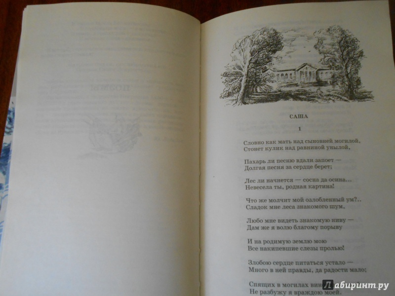 Иллюстрация 9 из 32 для Поэмы - Николай Некрасов | Лабиринт - книги. Источник: Леан