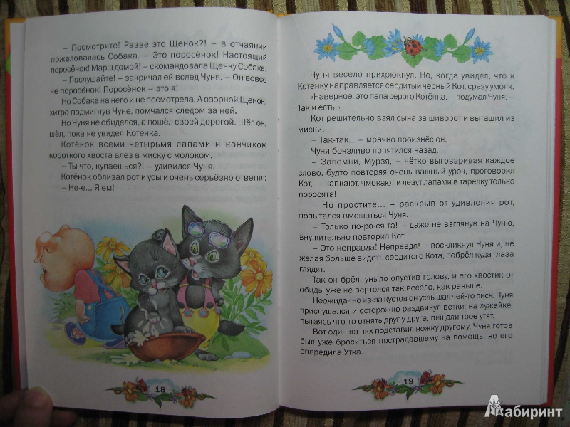 Иллюстрация 10 из 16 для Песенка мышонка - Екатерина Карганова | Лабиринт - книги. Источник: Белкина  Виктория