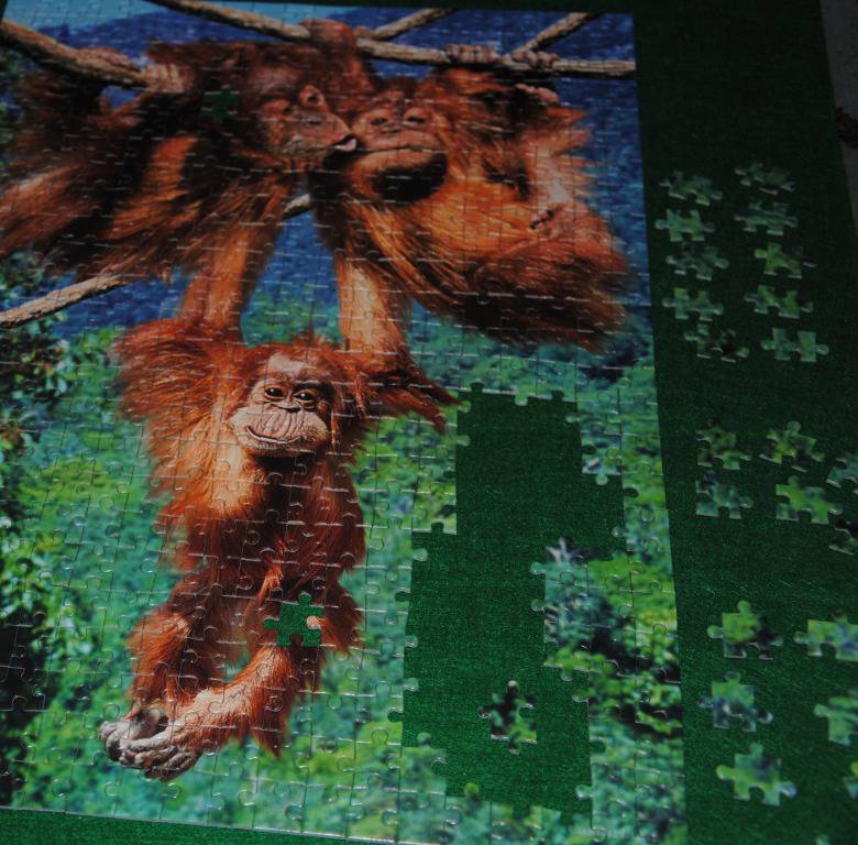 Иллюстрация 3 из 5 для Пазл-мозаика "Игры обезьян" 500 деталей (B-51601) | Лабиринт - игрушки. Источник: CatT