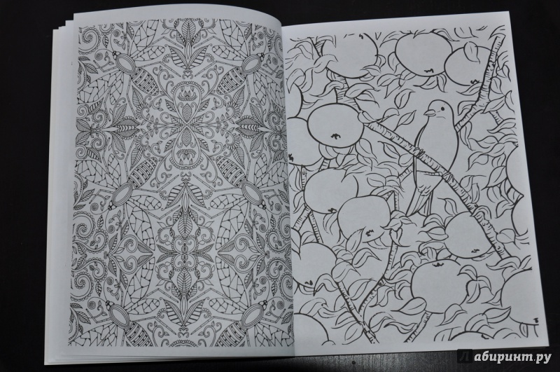 Иллюстрация 7 из 32 для Книга-раскраска. Прекрасные сады | Лабиринт - книги. Источник: Нешина  Ирина Сергеевна