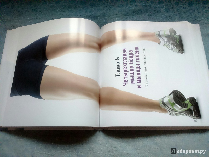 Иллюстрация 14 из 14 для Лучшие силовые упражнения и планы тренировок для женщин | Лабиринт - книги. Источник: Ефремова  Ксения