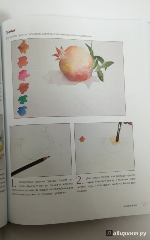 Иллюстрация 16 из 51 для Школа рисования акварелью итальянского мастера - Либралато, Лаптева | Лабиринт - книги. Источник: Черная  Ксения