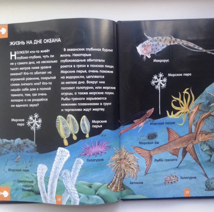 Иллюстрация 19 из 24 для Светящаяся книга о подводном мире - Николас Харрис | Лабиринт - книги. Источник: Зуева  Анастасия