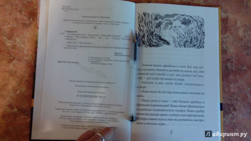Иллюстрация 4 из 11 для В подводном лесу - Николай Сладков | Лабиринт - книги. Источник: Косова  Мария