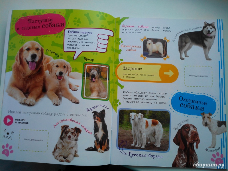 Иллюстрация 11 из 20 для Как воспитать щенка | Лабиринт - книги. Источник: Александра Джейлани